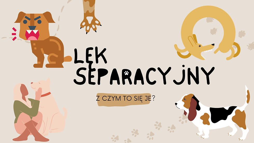 Lęk separacyjny u psa