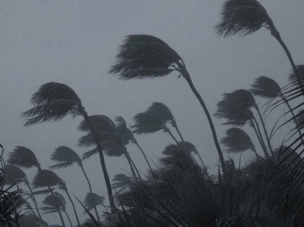Santa Ana winds