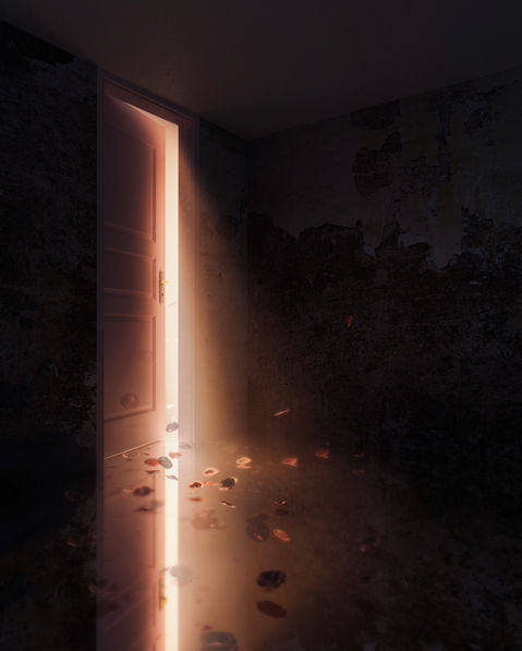 a room with peeling plaster walls with a door opened ajar to let light illuminating petals and a reflective surface