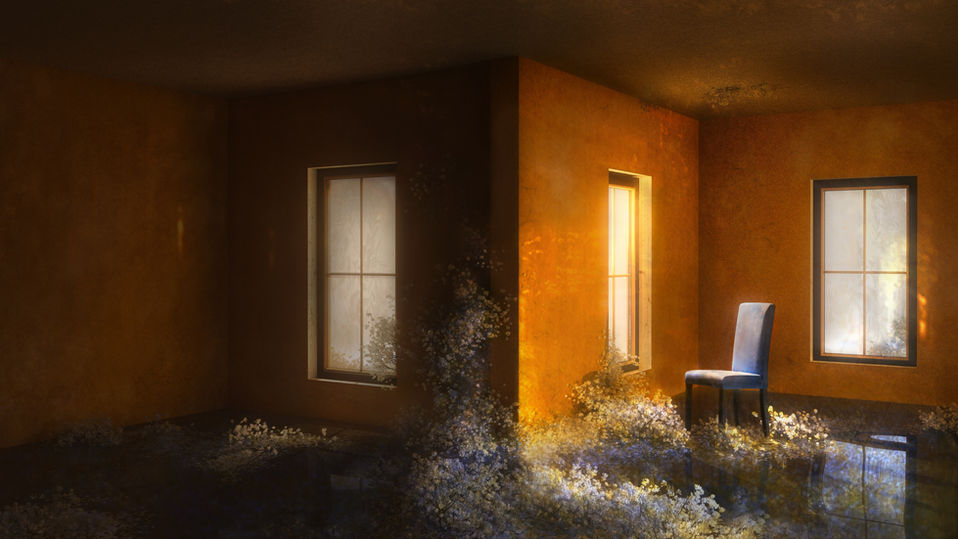 apricot-colored room with a blue-suede chair in it with flowers around it on a reflective floor with shadows and light