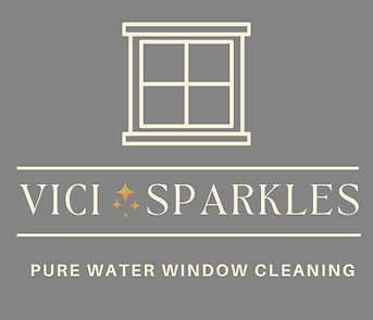 Vici Sparkles .png