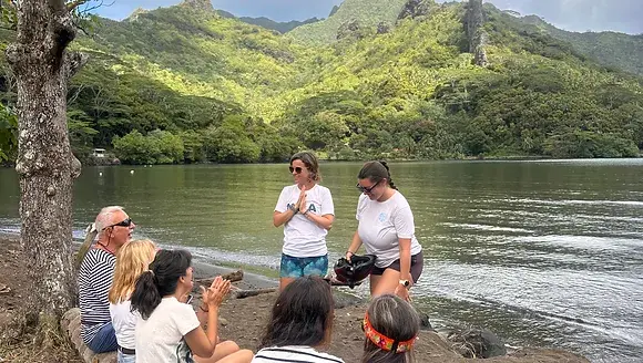 NOA Platinum Package