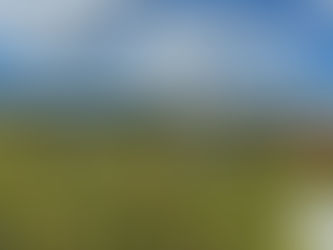 2025 Vintage Report – Domaine Morisseau: A Year of Challenges and Exceptional Quality