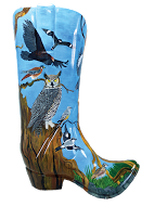 Hill Country Birds