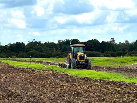 Carbek Report Summary