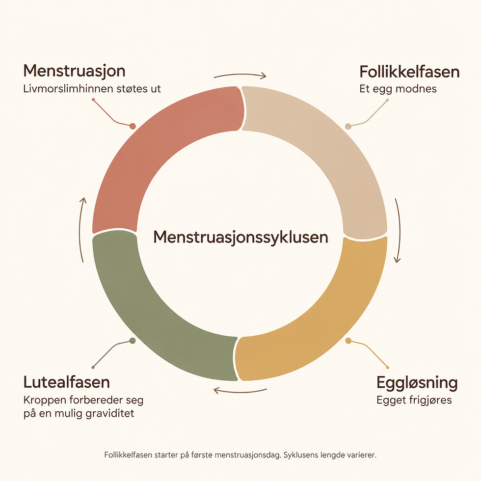 pmdd syklus