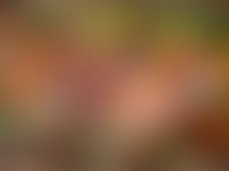 Hvorfor har mat blitt så himla vanskelig?