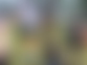 Blog Re-Launch: Part 2