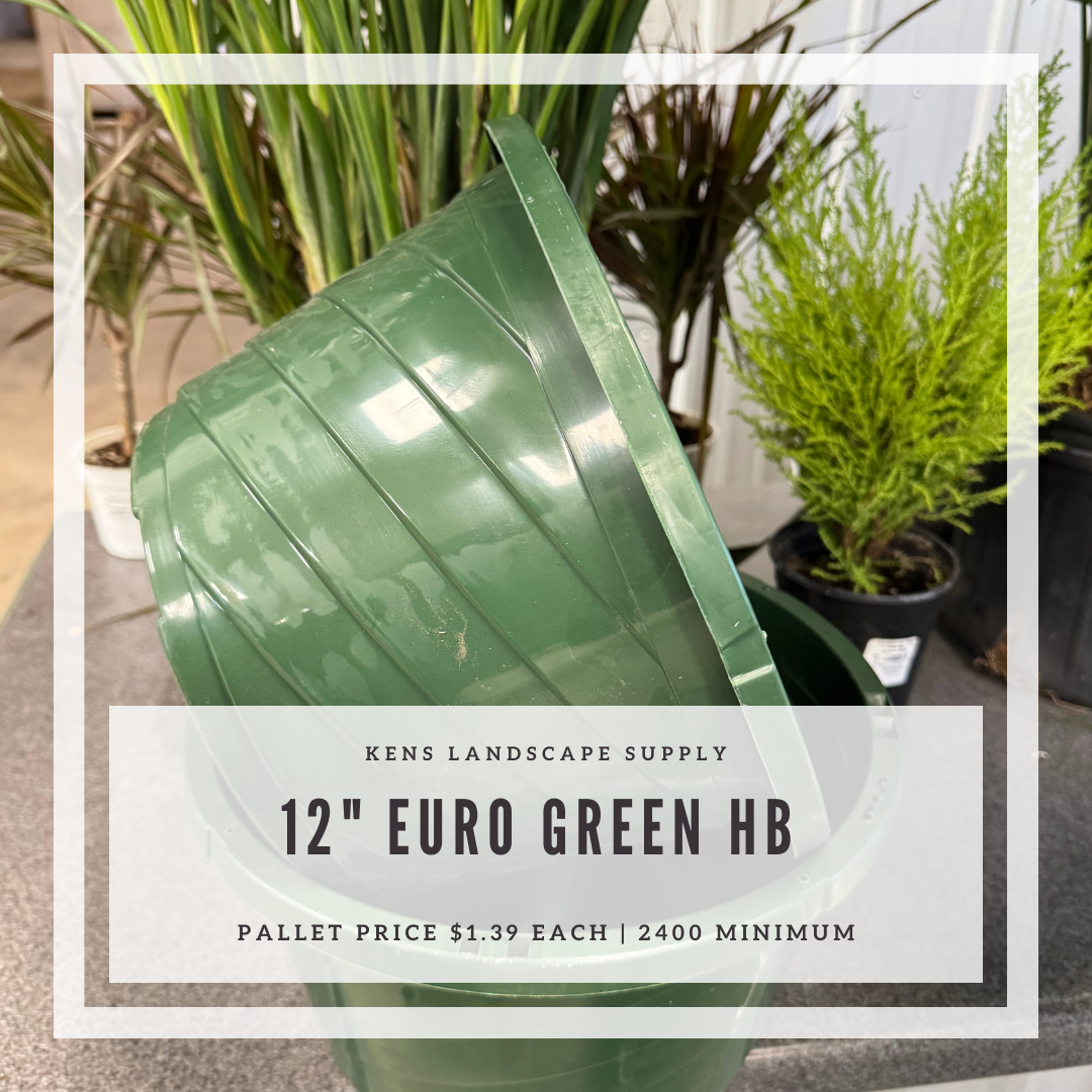 12” Euro Green Hanging Basket (HB)