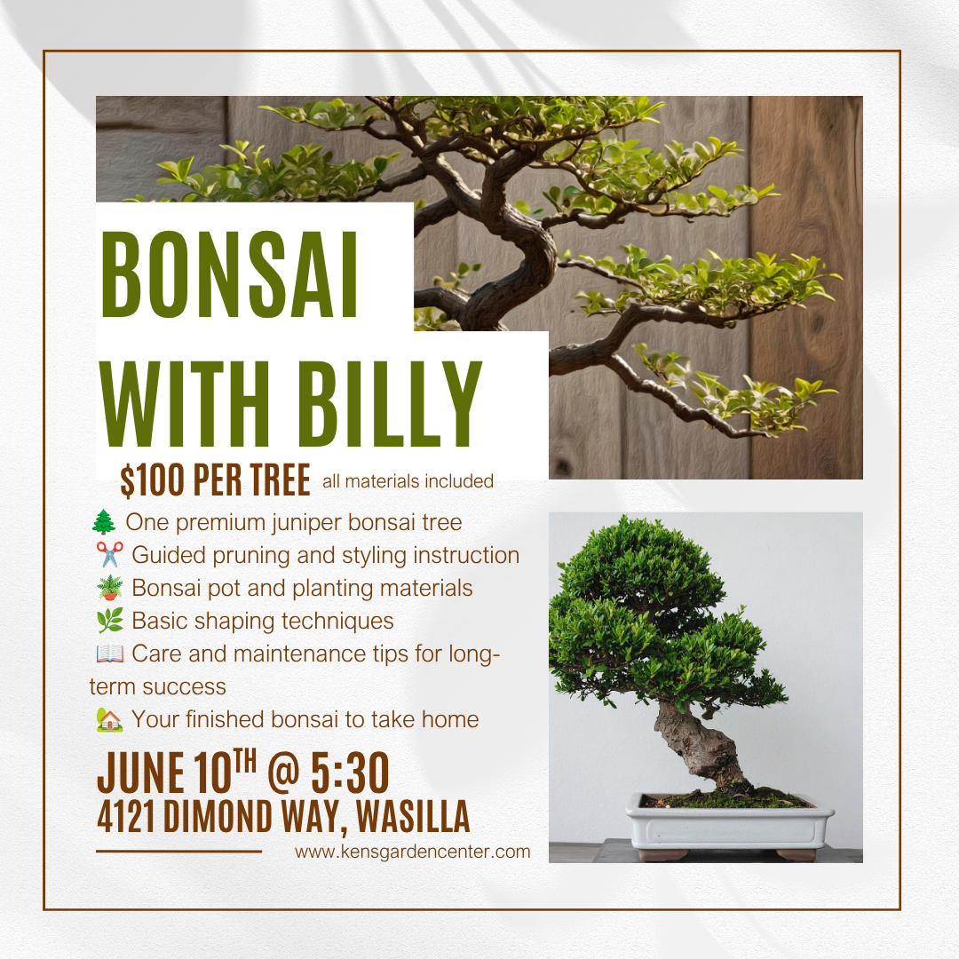 Juniper Bonsai Class