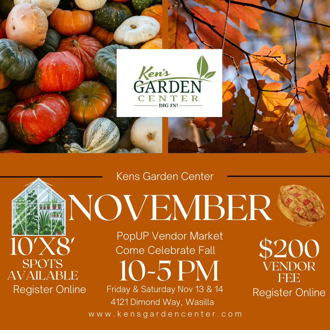 November PopUP Market