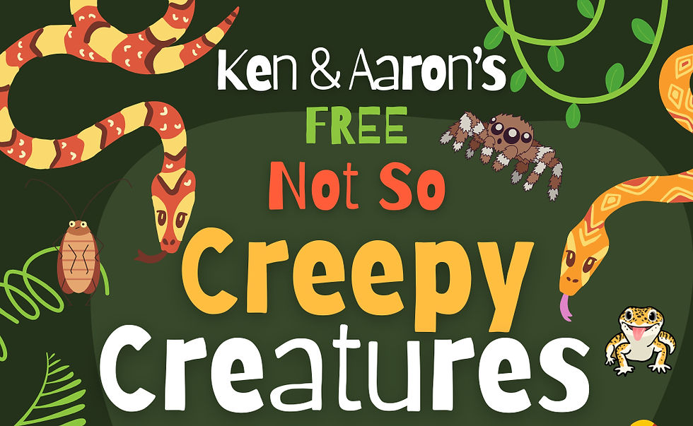 🐍 Not So Creepy Creatures