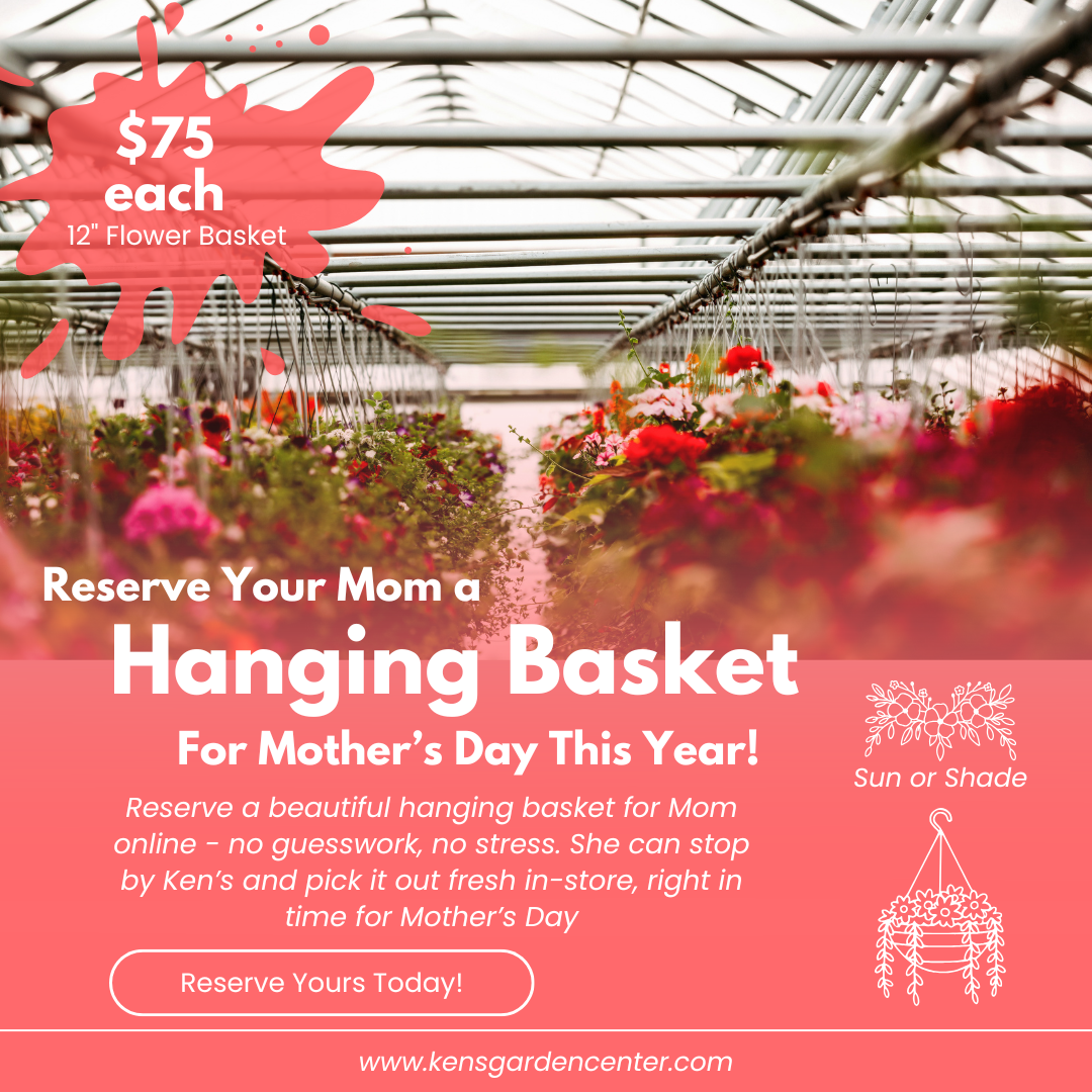 🌸 12" Hanging Flower Basket for Mother’s Day