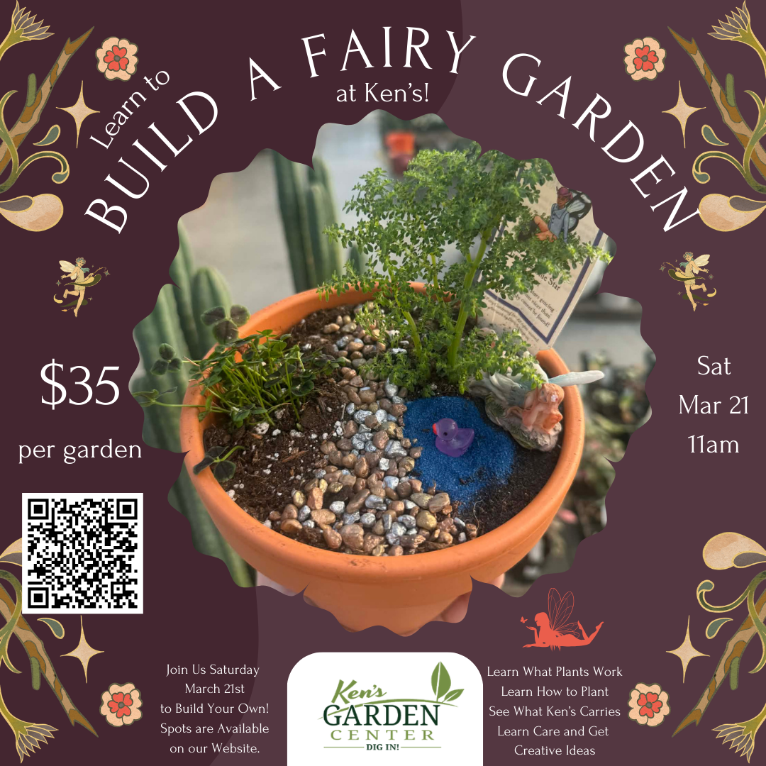 🧚‍♀️ Build a Fairy Garden at Ken’s! ✨