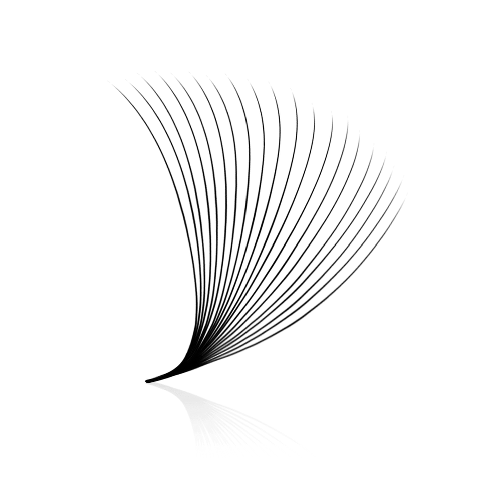 bold 20d promade fans close up