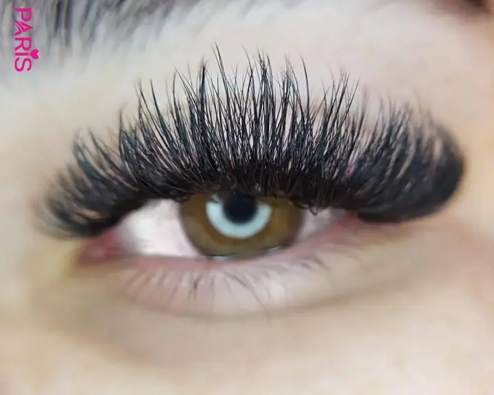 Thumbnail: PLA single wispy 9d after the lashes are completed picture