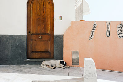 jack-young-HKH2LwaPZOQ-unsplash.jpg