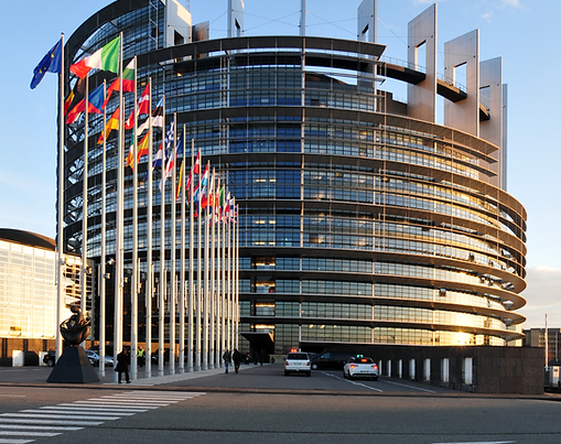 Youth Leadership Development Competition
