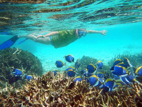 If You’re Going to Sri Lanka This Summer, You’re Probably Staying on the Wrong Coast