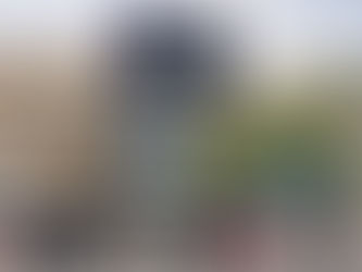 The new Studio Museum in Harlem on 125th Street