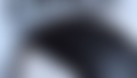 Bagels, black and white cookies, and more goodies are the draw at the new Zaro's in Harlem