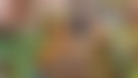 Use This Map to Safely Trick or Treat at 50+ Homes in Harlem's Mount Morris Park Historic District