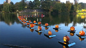 Carved pumpkins floating on the Harlem Meer in Central Park for Halloween