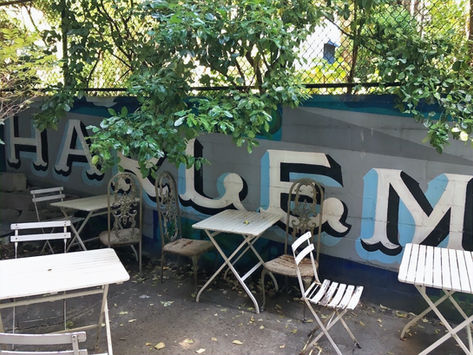 The back garden at The Chipped Cup