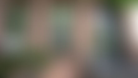 5 Amazing Spots That Celebrate Langston Hughes in Harlem