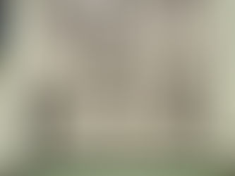 Ice skating in Central Park