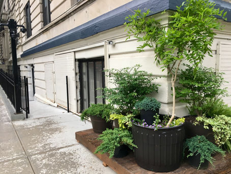 Uptown links: new Southeast Asian pub The Expat coming to Morningside Heights, and more