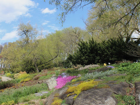 Heather Garden in Fort Tryon Park