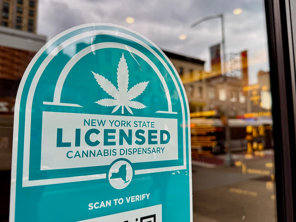 New York State Licensed Cannabis Dispensary sign in the window of Gotham Buds in Harlem