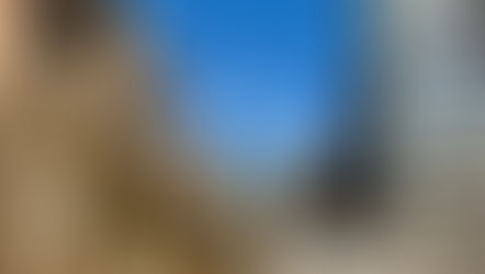 The Ultimate Visitor's Guide to Harlem–Winter Edition: the Best Things to See and Do, Plus Where to Eat Nearby