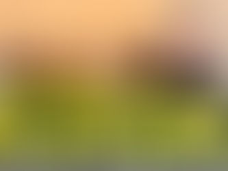 Harlem's Black Seed Brothers have all the sweet, Southern watermelon you're craving. Yes—with seeds.