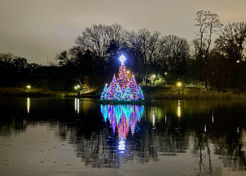 Festive holiday trees around Harlem