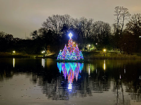 6 Festive Holiday Trees Around Harlem