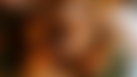 Where to Enjoy a Thanksgiving Feast in Harlem: Restaurants Open for Dine-In and Takeout