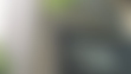 12 fun things to do this weekend in Harlem and beyond