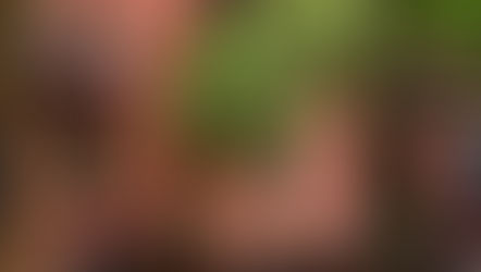 Jane's Walk NYC, the Blessing of the Bikes, and more fun things to do this weekend