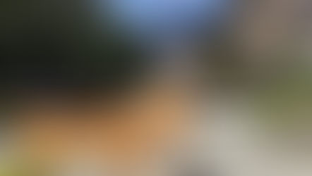 13 fun things to do this weekend in Harlem and beyond