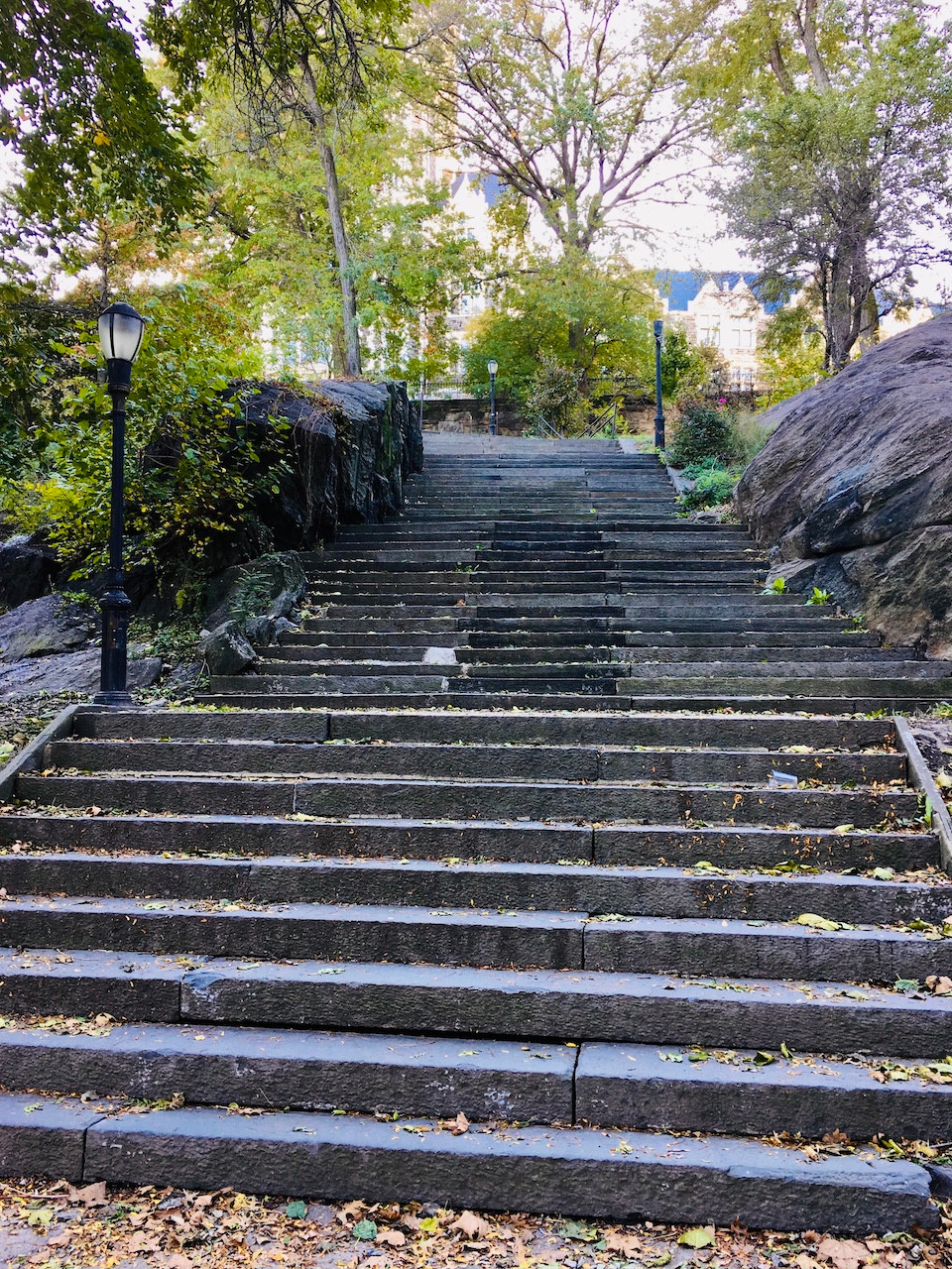 The stairs in St. Nicholas Park are great for a workout
