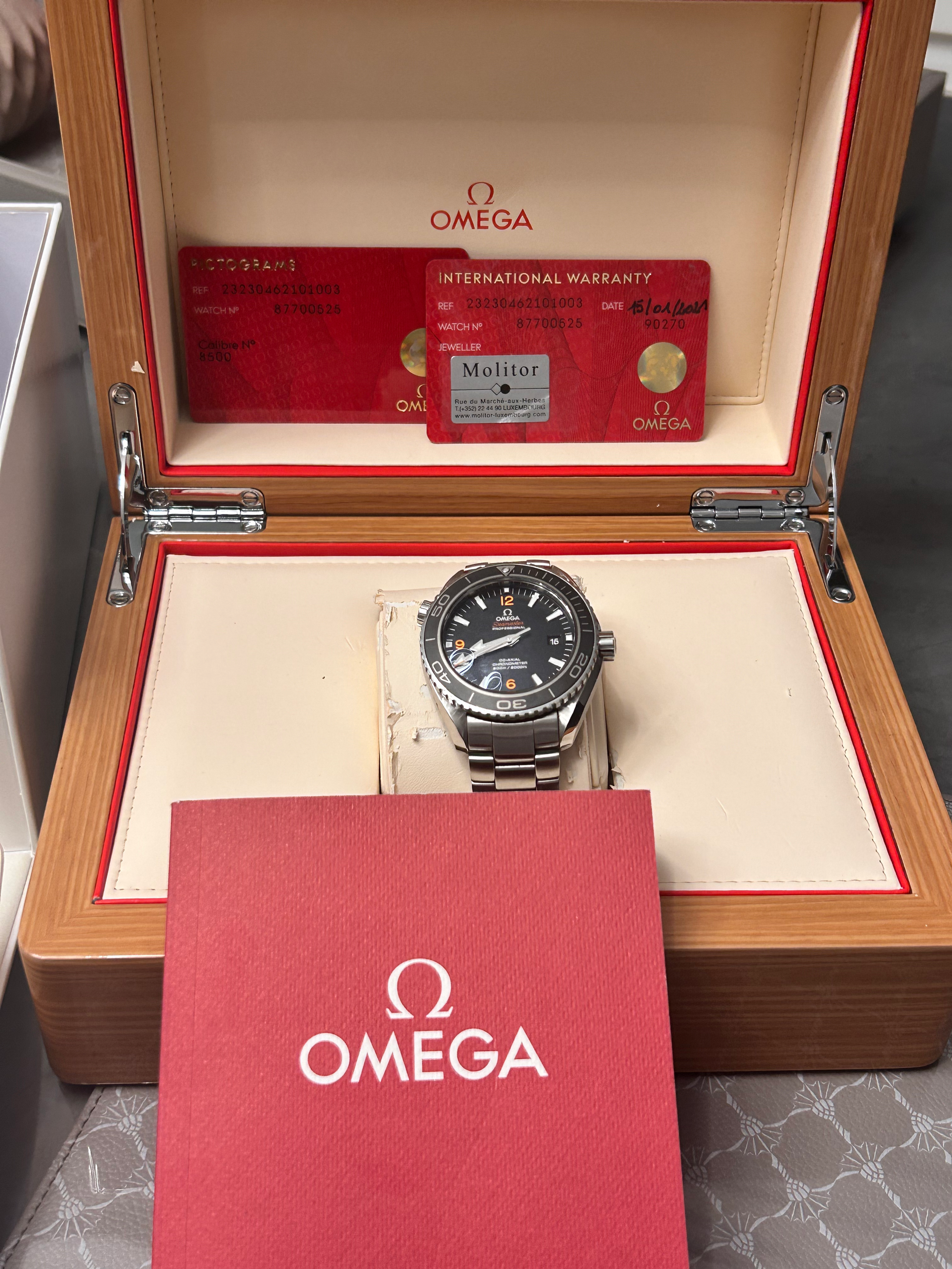 Omega Seamaster Planet Ocean