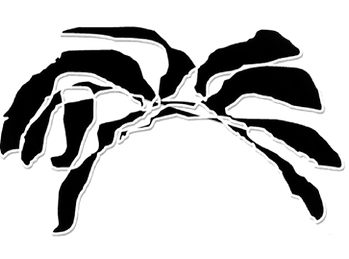 COMPOS)(URE LOGO