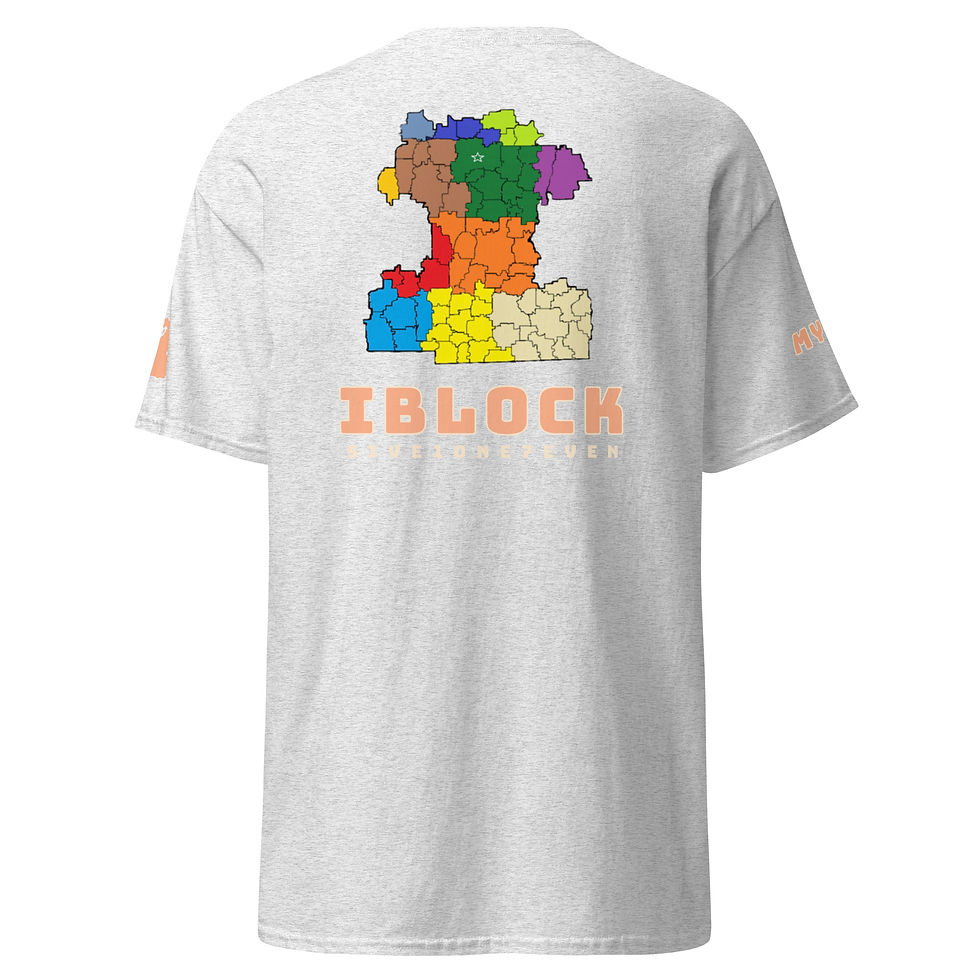 Thumbnail: Women's IBLOCK classic tee 