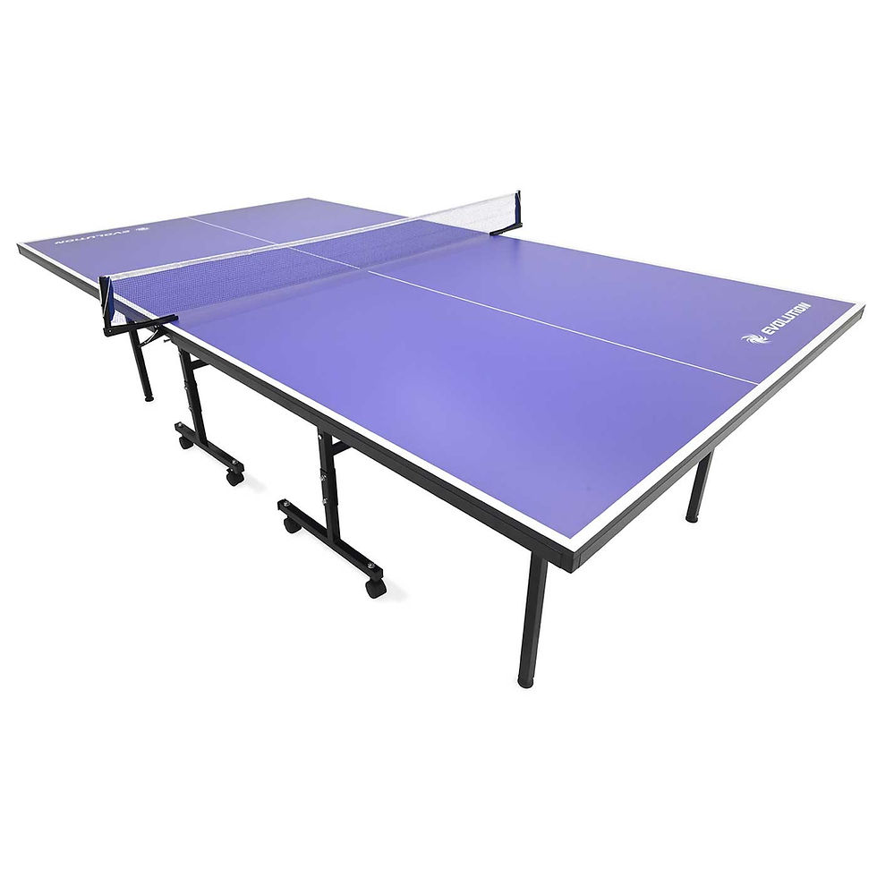 Mesa de Ping Pong 15 MM Evolution