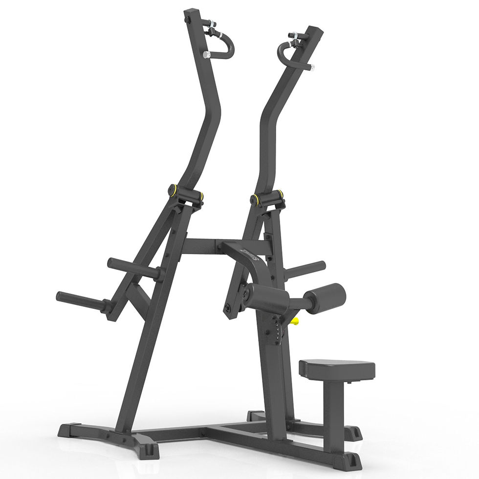 IFP1301  Polea alta Isolateral carga con discos Impulse Fitness