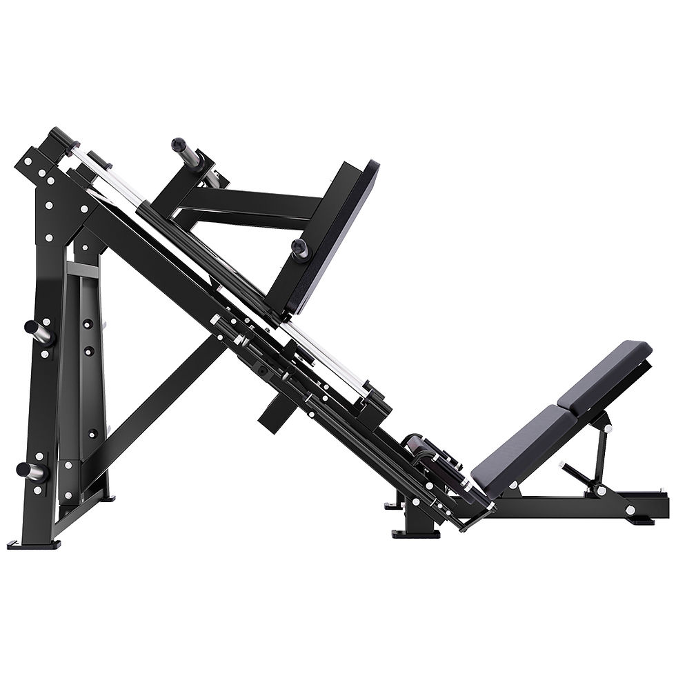Miniatura: Prensa inclinada lineal SM-2034 Sportfitness