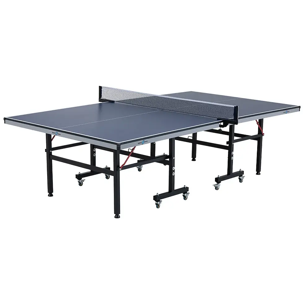 Mesa Ping Pong 16MM Tenis de Mesa  TT9902