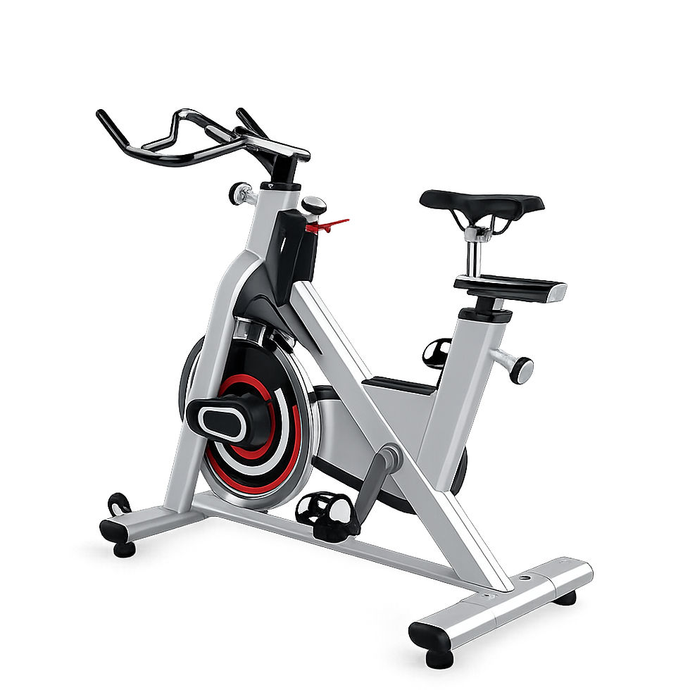 Bicicleta Spinning PS300 Impulse